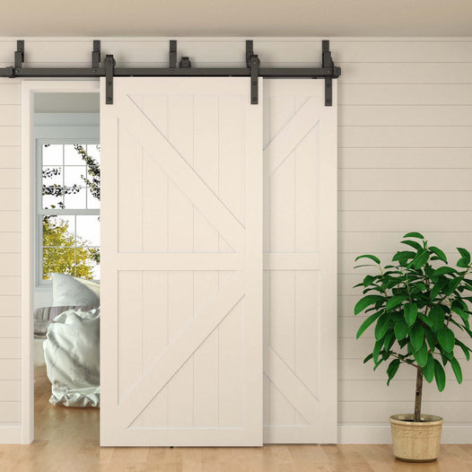 Barn Door Example