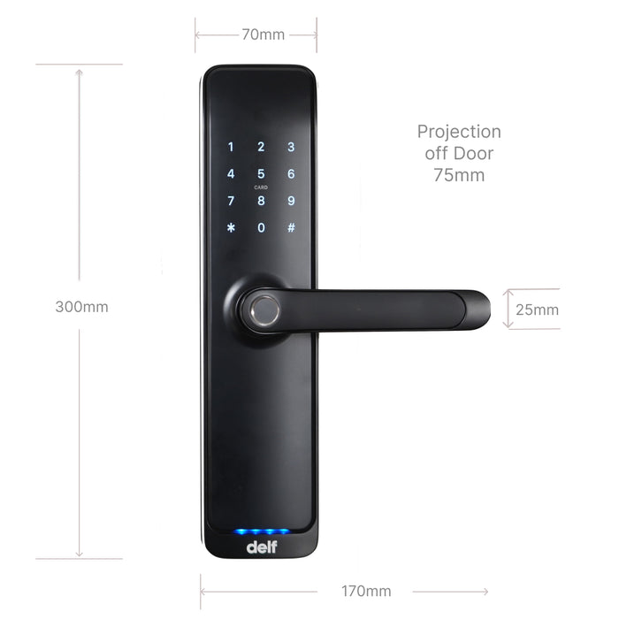 Delf DDL200 Smart Lock